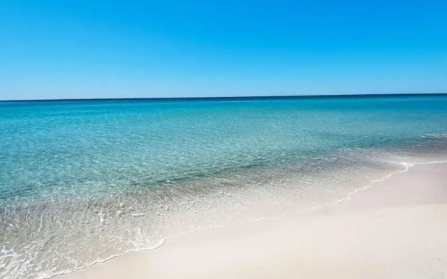 The Sand Dollar A