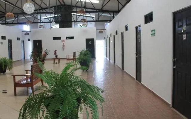Real Primaveras Campestre