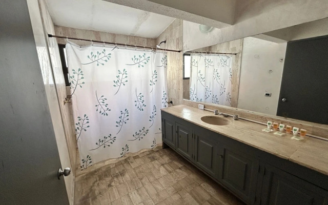 Singular Polanco Goldsmith