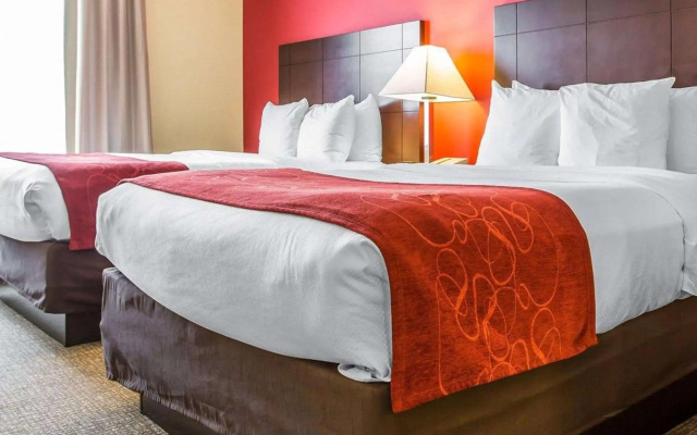 Comfort Suites Rock Hill Manchester Meadows Area