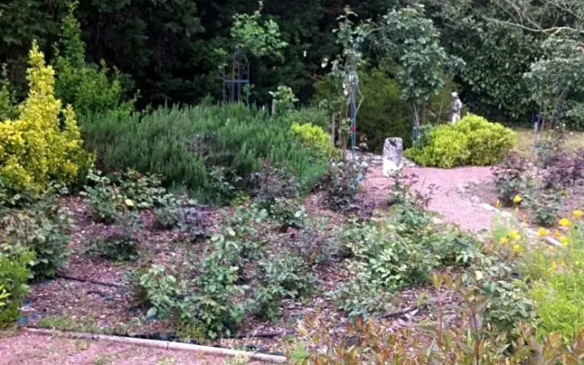 Chambre d'Hôtes Dyrslot