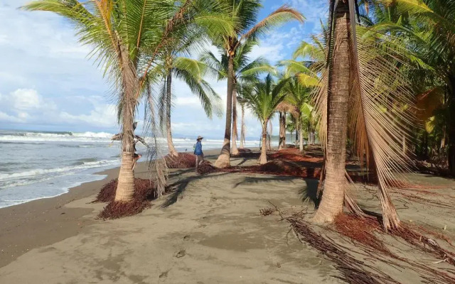 Morrillo Beach Eco Resort