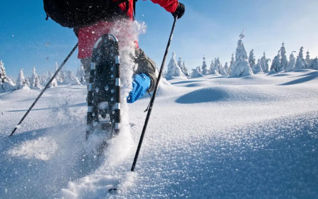 ferienwohnungen hottenroth