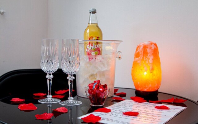 Private Hot Tub, Sauna, Ice Bath Gym Apartment