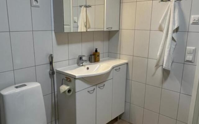 Cozy centre apartament Kuopio
