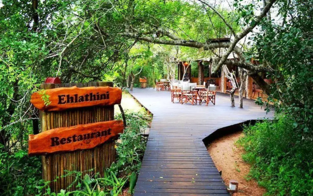 Royal Thonga Safari Lodge