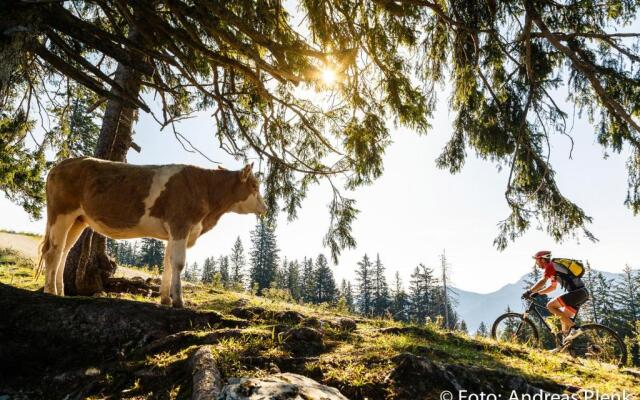 Ferienwohnungen Beim Zellerbäck