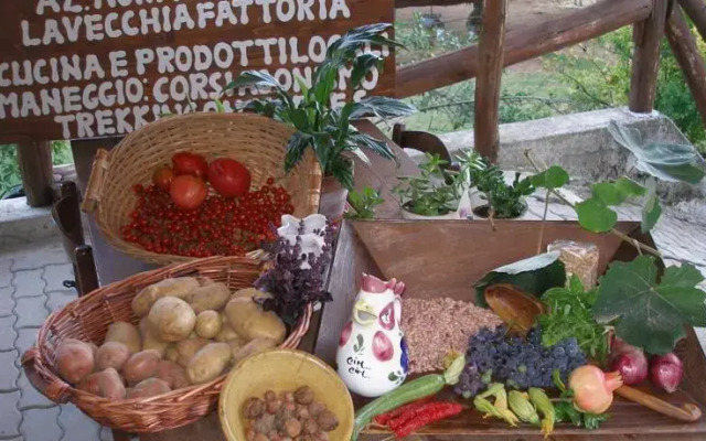 Az.Agr.La Vecchia Fattoria da Marica