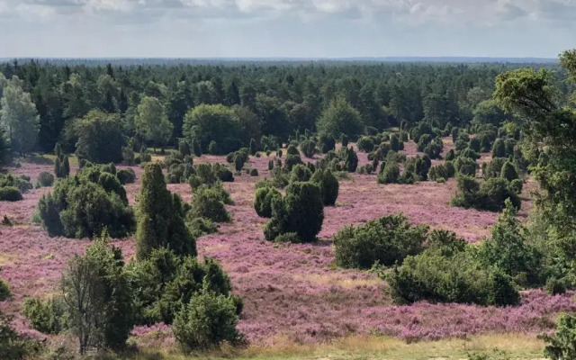 Heidetraum in der Pension Heidetraum
