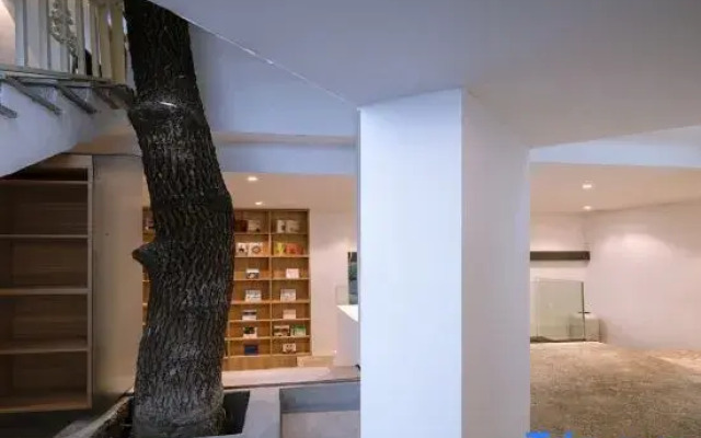 There is a Starlight Mountain B&B outside Chongqing