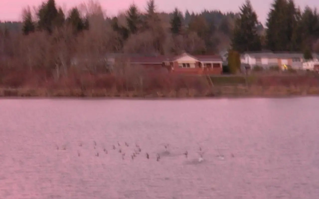 Americas Best Value Inn