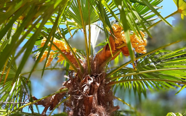 Secret Wellness Boszicht