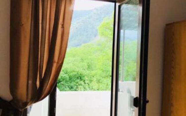 Zviad Guest House