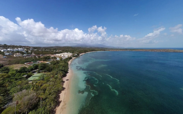 Tropical Breeze Escapes Couples Studio