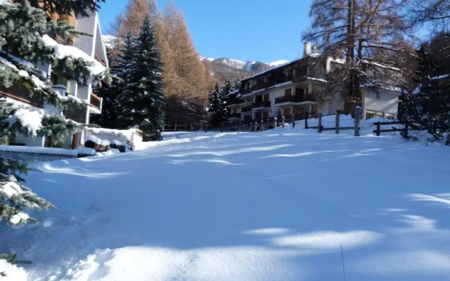 House Driade by Holiday World