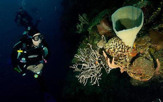 Reef House