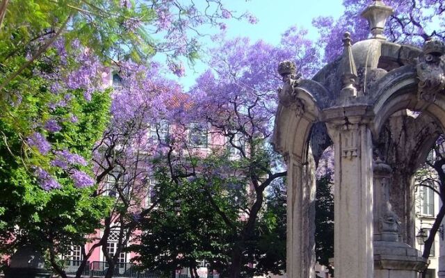 Lisbon City Stay Largo do Carmo