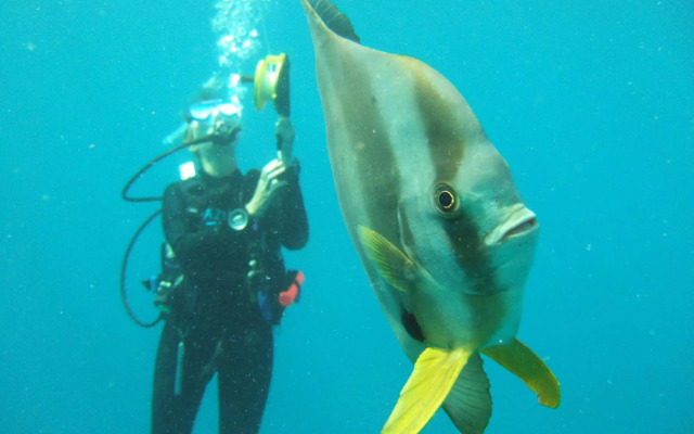 Azura Benguerra Island