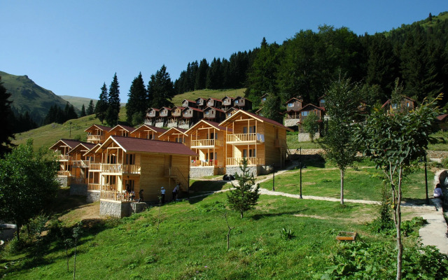 Hamsiköy Zitaş Bungalov & Restoran