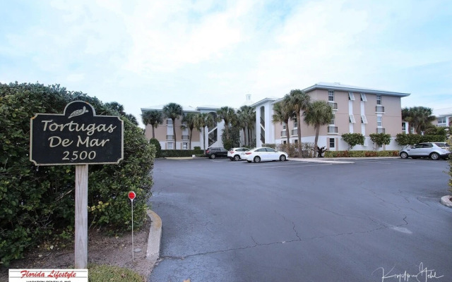 Tortugas De Mar 103b