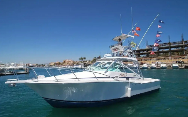 2BD Oceanview Villa Del Palmar Cabo