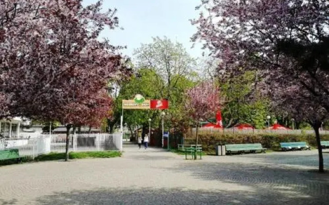 Modern Apartment Riegrovy sady