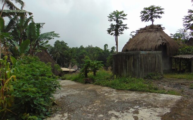 New Bintang Bajawa