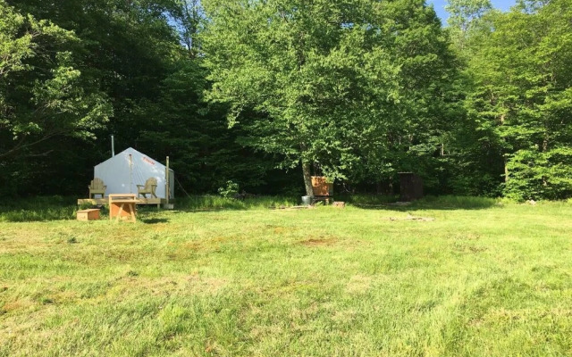 Tentrr - Hummingbird Haven