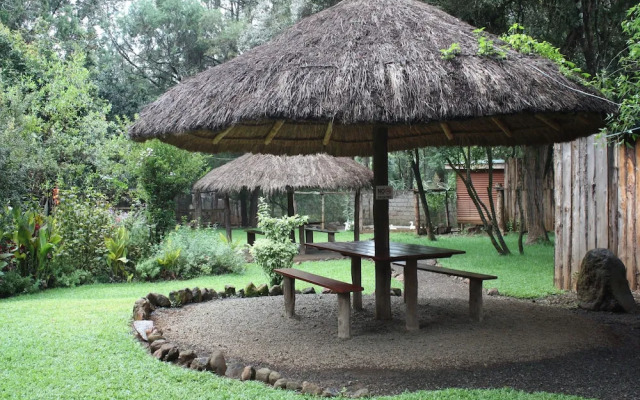 Kongoni Camp Nanyuki