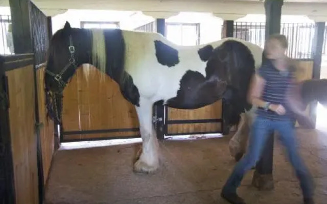 Olstorp Gård Bed & Breakfast