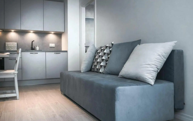 Kalamehe Modern Apartment 2 near City center