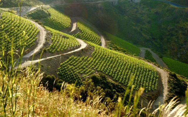 Rue sebastien spacious apartment close beach