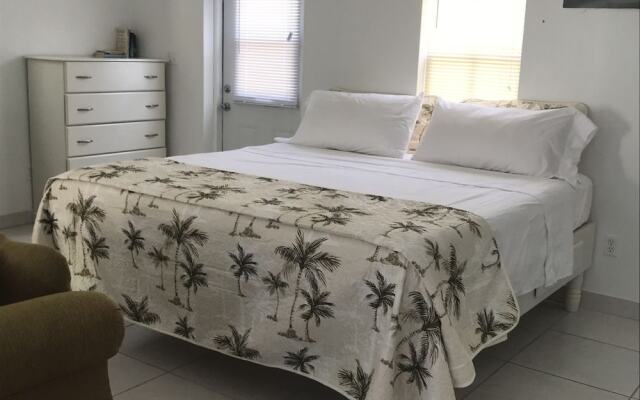 Sunflower Oasis