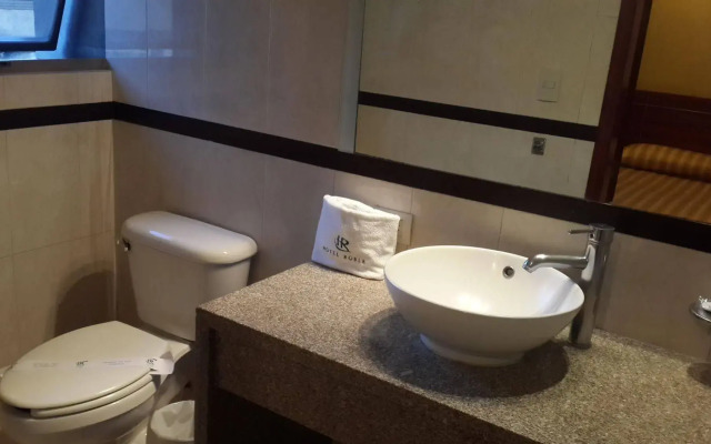 Hotel Roble
