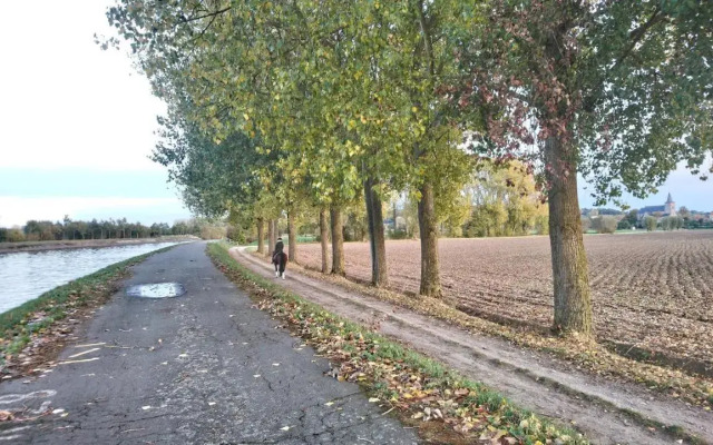 Petit Bonheur