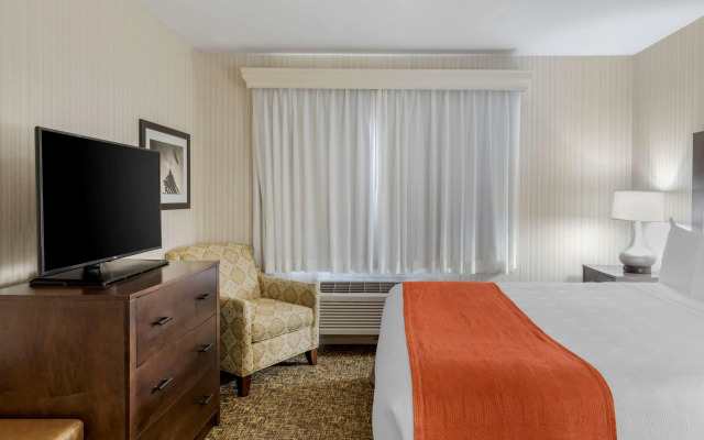 Best Western Plus Big America