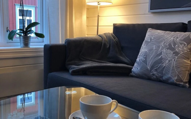 Premium Apartment Trondheim City