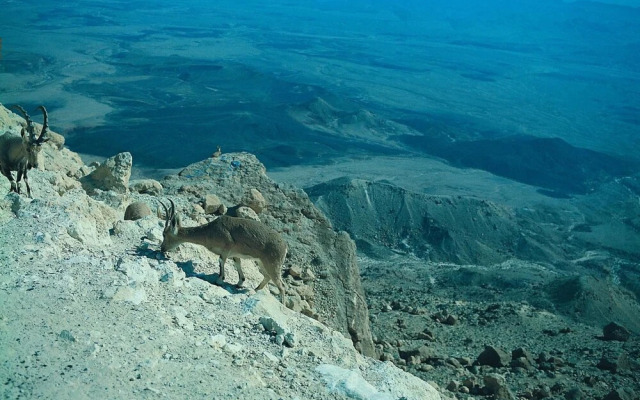 Daroma by Isrotel Collection