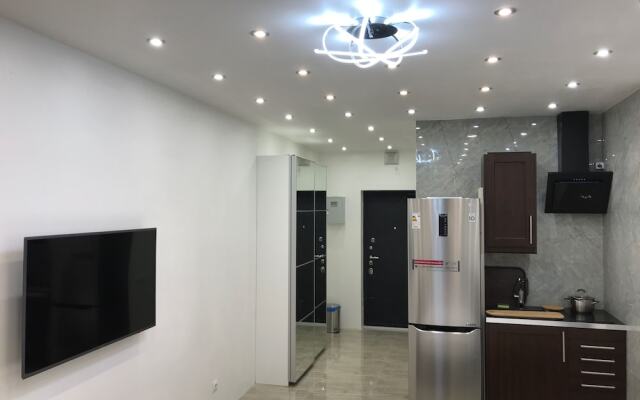 DZirconia Elagin Island Apartments