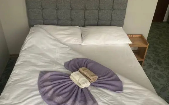 Samsun Otel Vidinli