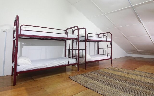 Single Bed in Mixed Dormitory Room With Ac