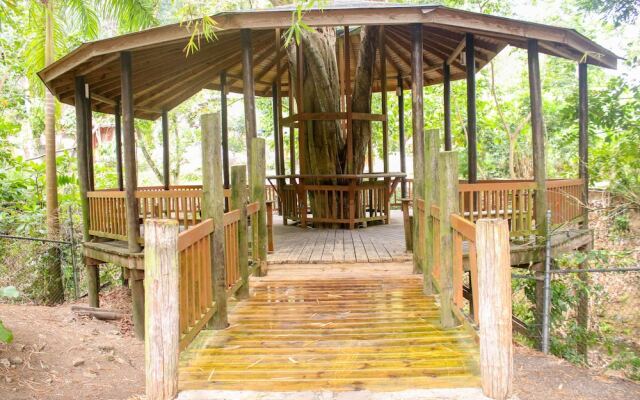 The Blue Mahoe Treehouse