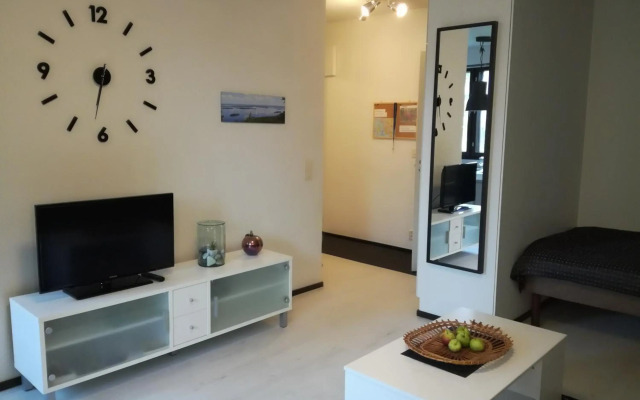 A lovely one-room apartment near the city centre.