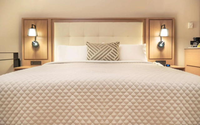 MS Milenium Monterrey, Curio Collection by Hilton