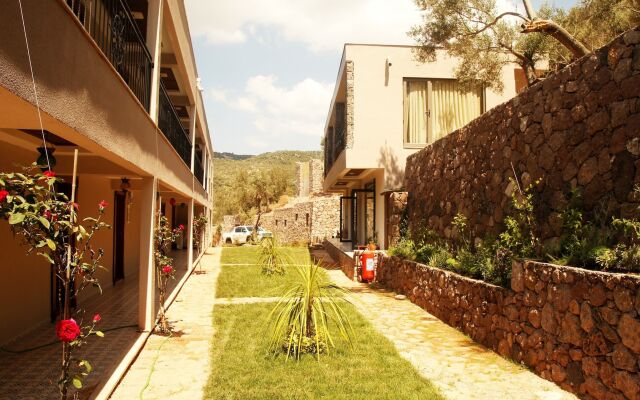 Assos Longevity Hotel