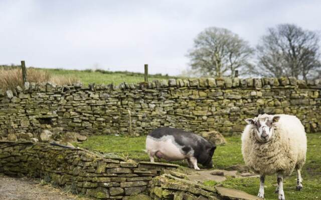 Isaacs Byre