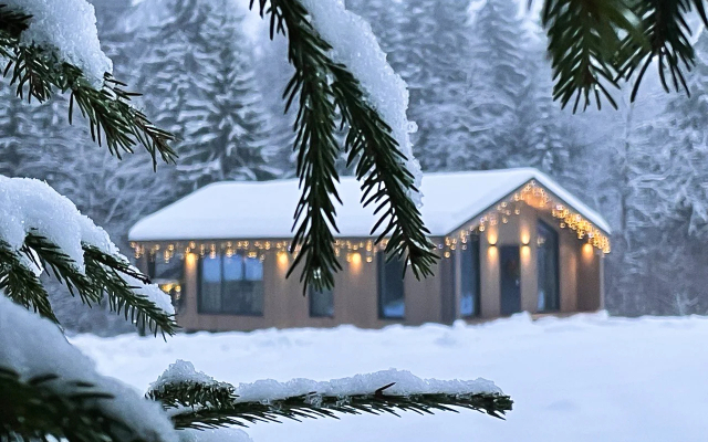 Pine Forest(Хвойный лес)