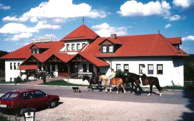 Hotel Goldberg