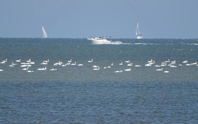 Iselmarpleats Comfortabele Studio met badkamer