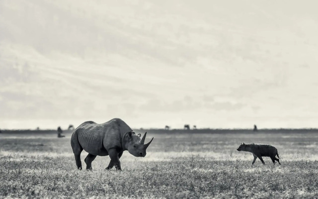 Ngorongoro Serena Safari Lodge